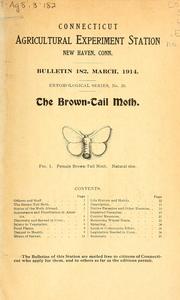 The brown-tail moth, Euproctis chrysorrhoea Linn