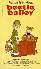 What is It Now Beetle Bailey