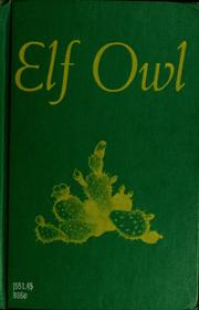 Elf Owl