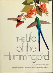 The life of the hummingbird