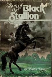 Son of the Black Stallion