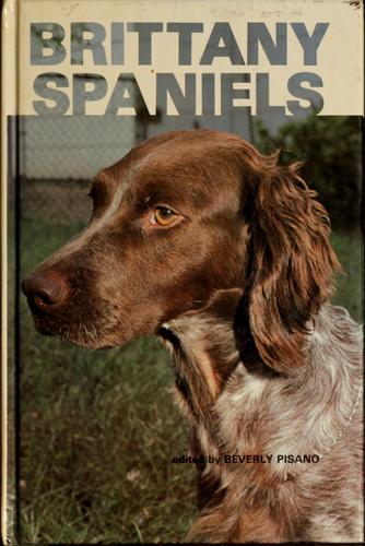 Brittany spaniels