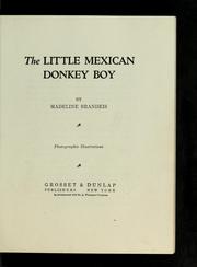 The little Mexican donkey boy
