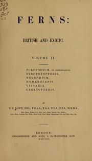 Ferns