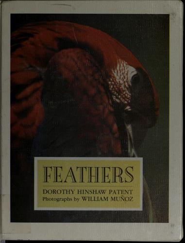 Feathers