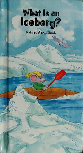 What is an iceberg?