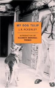 My dog Tulip