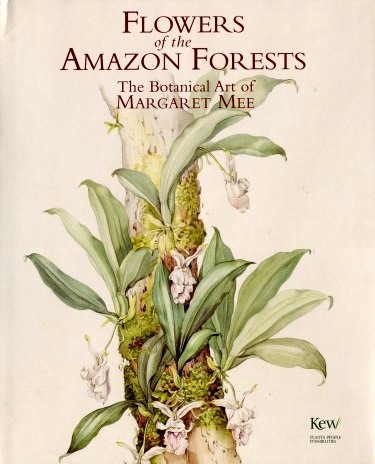 Flowers of the Amazon forest