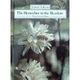 The honeybee in the meadow