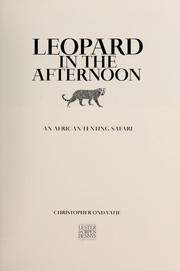 Leopard in the Afternoon