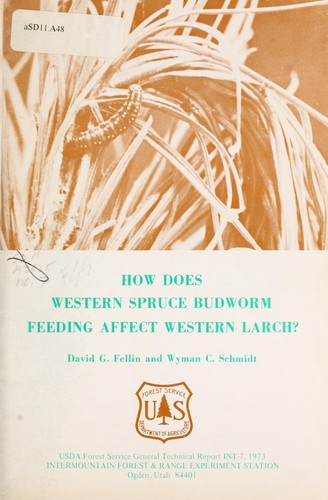 How does western spruce budworm feeding affect western larch?