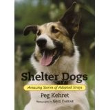 Shelter Dogs Amazing Stories of Adopted Strays