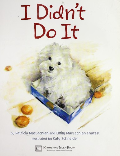 I didn't do it