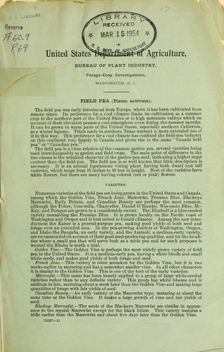 Field pea (Pisum sativum)