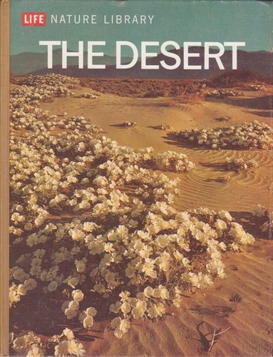 The desert