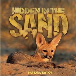 Hidden in the sand