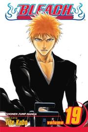 Bleach, Volume 19