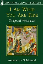 I Am Wind Your Are Fire