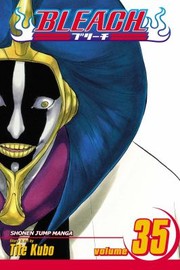 Bleach Vol 35
            
                Bleach Paperback