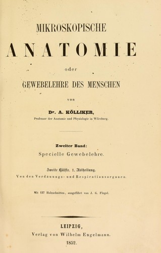 Mikroskopische Anatomie, oder, Gewebelehre des Menschen. Zweiter Band : Specielle Gewebelehre