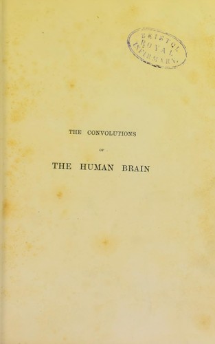 On the convolutions of the human brain