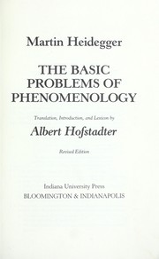 Grundprobleme der Phänomenologie