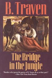 The Bridge in the Jungle
