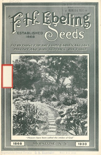 Seeds
