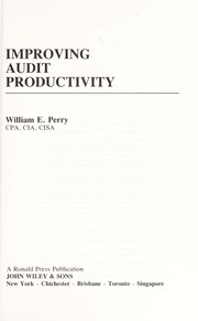 Improving audit productivity