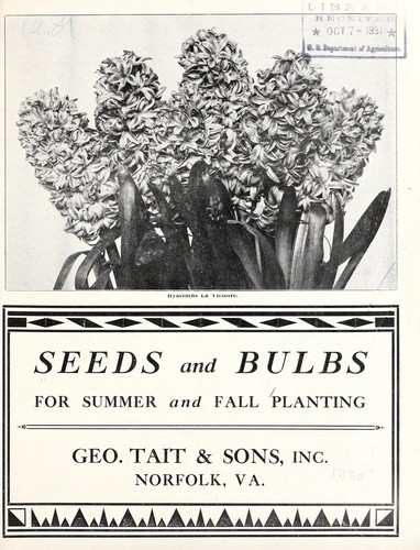 Seeds and bulbs for summer and fall planting