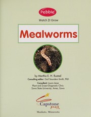 Mealworms