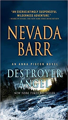 Destroyer Angel