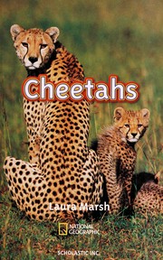 Cheetahs