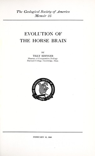Evolution of the horse brain