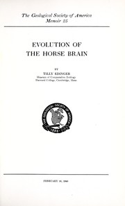 Evolution of the horse brain