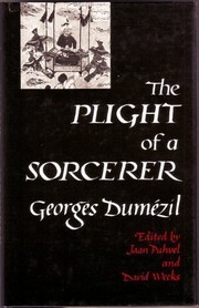 The plight of a sorcerer