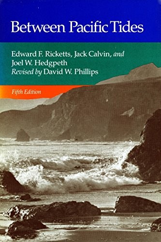 Between Pacific tides
