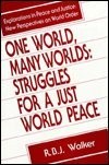 One world, many worlds