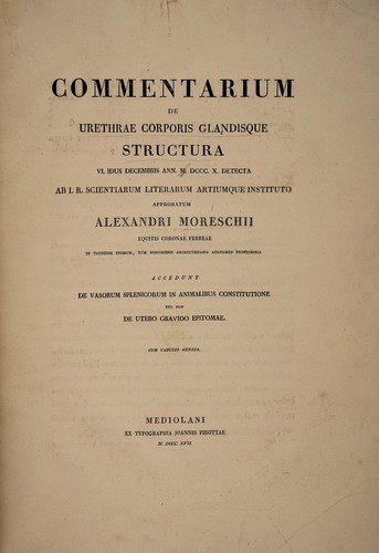 Commentarium de urethrae corporis glandisque structura