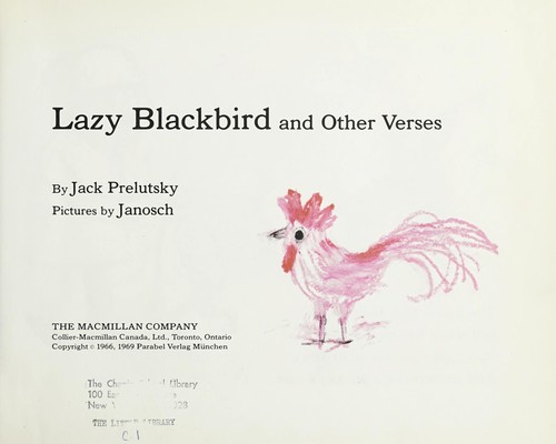 Lazy blackbird