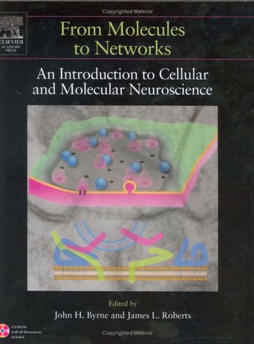 From molecules to networks