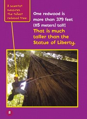 The redwood forests