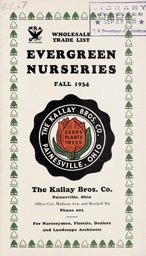 Evergreen nurseries
