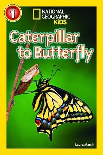 National Geographic Kids Readers: Caterpillar to Butterfly (National Geographic Kids Readers: Level 1)