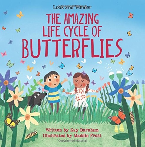 The Amazing Life Cycle of Butterflies