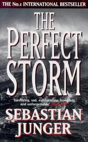 Perfect Storm a True Story of Men Agains