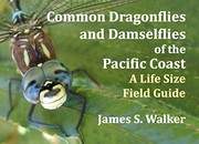 Common Dragonflies and Damselflies of the Pacific Coast