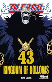 Bleach, Tome 43