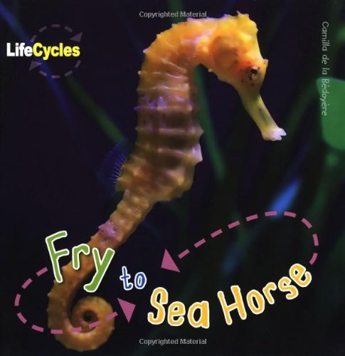 Fry to Seahorse