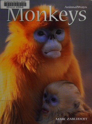 Monkeys